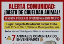 Denuncian envenenamiento de manada comunitaria de gatos en Urb. Prebo de Valencia Denuncia de envenenamiento de manada comunitaria de gatos 2