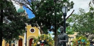 Generación de oro de Naguanagua