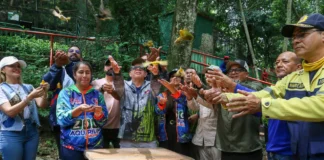 el Ministerio del Poder Popular para el Ecosocialismo (Minec) reafirmó su repudio frente a la tenencia en cautiverio, el tráfico y la comercialización de especies de la fauna silvestre venezolana