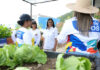 Presidenta Rodríguez supervisa unidades de producción porcina y avícola en Caricuao unidades de producción porcina