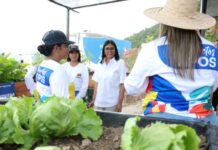 unidades de producción porcina