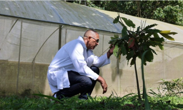 Investigadores venezolanos Investigadores venezolanos