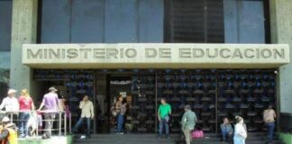 componente docente Ministerio de Educación