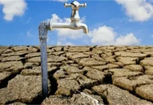 Alerta máxima en Centroamérica: Más de 10 millones de personas afectadas por Súper Niño Centroamérica enfrenta la peor sequía