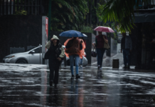 Onda Tropical 52