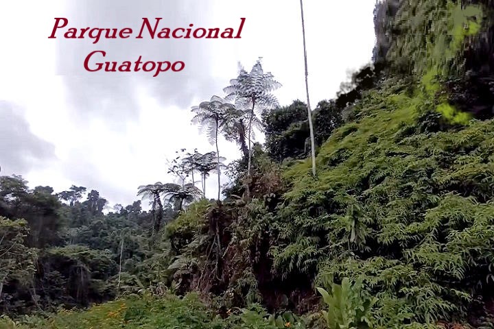 Parque Nacional Guatopo