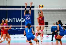 Venezuela disputará la Copa Panamericana de Voleibol Femenino en México Venezuela Panamericana de Voleibol