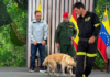 Ciudad Mascota | Fallece Quino: el célebre perro rescatista Quino