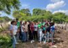 Guacara inicia Plan Nacional de Caracterización del Rebaño Bovino 2026 Plan Nacional Bovino Guacara