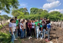 Plan Nacional Bovino Guacara