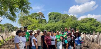 Plan Nacional Bovino Guacara