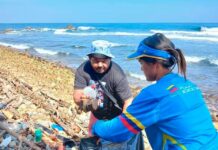 Más de 21 mil venezolanos recolectan 56 toneladas de desechos en las playas Recolectan 56 toneladas de desechos en las playas
