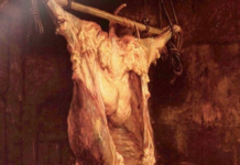 El buey desollado-Rembrant