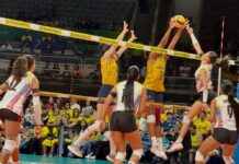 Venezuela sudamericano voleibol