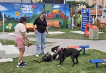 Así valoran los visitantes el parque para Mascotas “Drac” Gran asistencia de visitantes en el Parque para Mascotas “Drac” en su semana inaugural