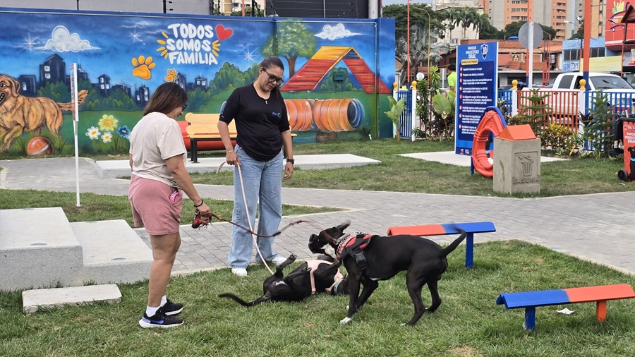 Gran asistencia de visitantes en el Parque para Mascotas “Drac” en su semana inaugural Gran asistencia de visitantes en el Parque para Mascotas “Drac” en su semana inaugural
