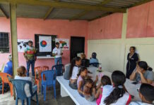 taller aulas verdes