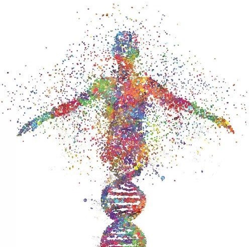 autismo-espectro autista-genética 2 autismo-espectro autista-genética 2