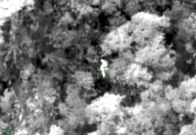 Fuerza Aérea Colombiana recupera cuerpos de 4 médicas tras accidente en Chocó Fuerza Aérea Colombiana recupera cuerpos