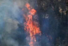 Ecuador: Incendios forestales permanecen activos en cuatro provincias del país Ecuador: Incendios forestales permanecen activos en cuatro provincias del país