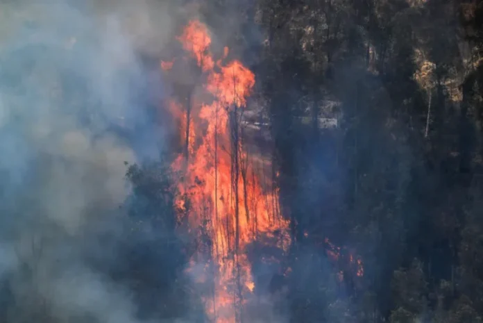 Ecuador: Incendios forestales permanecen activos en cuatro provincias del país Ecuador: Incendios forestales permanecen activos en cuatro provincias del país