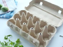 Compartimos estas ideas increíbles para reutilizar el cartón de huevos