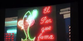 El pez que fuma en 4K