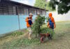 Guacara: Preparan escuelas y drenajes para el nuevo período académico Guacara escuelas
