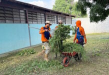 Guacara escuelas