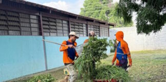 Guacara escuelas