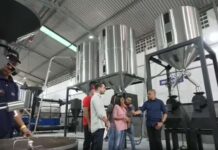 Presidenta destaca un crecimiento de 10% en producción de café en el país
