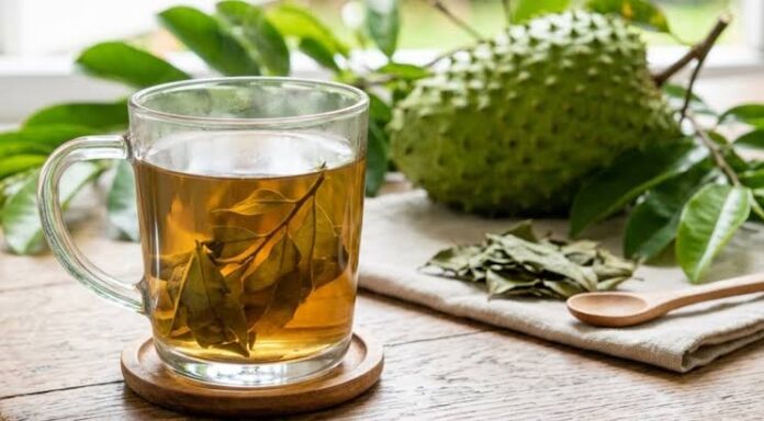 La guanábana es un poderoso antioxidante