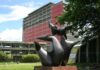 Universidades del país incluyen ingeniería sismorresistente en sus pénsum universidades ingeniería sismorresistente