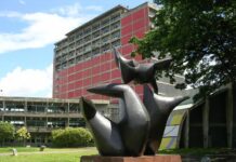 Universidades del país incluyen ingeniería sismorresistente en sus pénsum universidades ingeniería sismorresistente