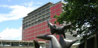 Universidades del país incluyen ingeniería sismorresistente en sus pénsum universidades ingeniería sismorresistente