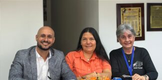 Estudios postdoctorales en IA