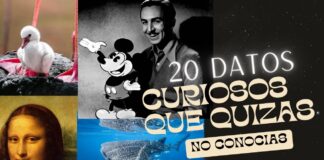 20 datos curiosos que casi nadie sabe y que hoy debes conocer