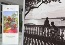 Movilnet y Marca País