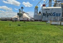 Todo listo para cosecha del maíz y del arroz del ciclo invierno 2026 Todo listo para cosecha del maíz y arroz del ciclo invierno 2026