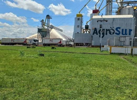 Todo listo para cosecha del maíz y arroz del ciclo invierno 2026 Todo listo para cosecha del maíz y arroz del ciclo invierno 2026