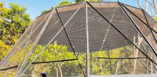 zooaquarium de valencia