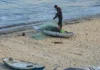 En Gaza pescadores desafían el cerco israelí a cambio de su soberanía alimentaria En Gaza pescadores desafían el cerco israelí a cambio de su soberanía alimentaria
