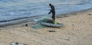 En Gaza pescadores desafían el cerco israelí a cambio de su soberanía alimentaria