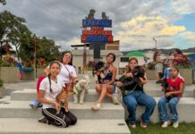 Parque para Mascotas “Drac”