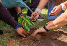 Programa País y Plan de Financiamiento Climático