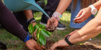 Programa País y Plan de Financiamiento Climático