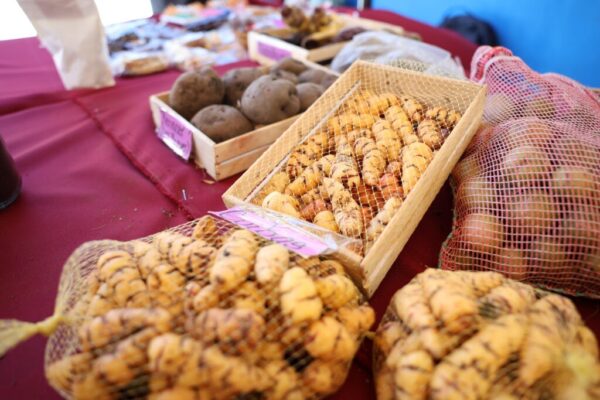Cantalicia