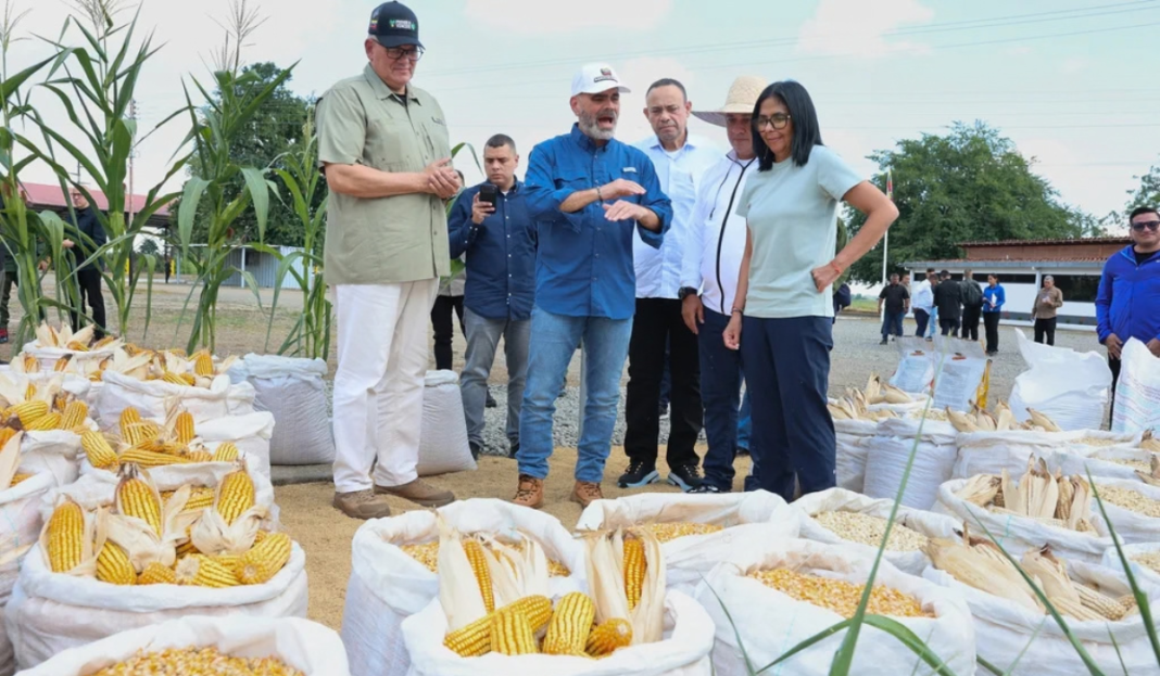 Plan Cosecha Plan Cosecha 2026