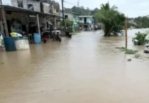 Ecuador: Fenómeno el Niño deja hectáreas bajo el agua y miles de afectados