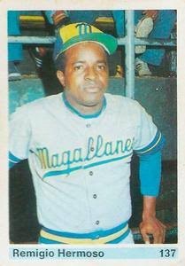 Remigio Hermoso-Magallanes